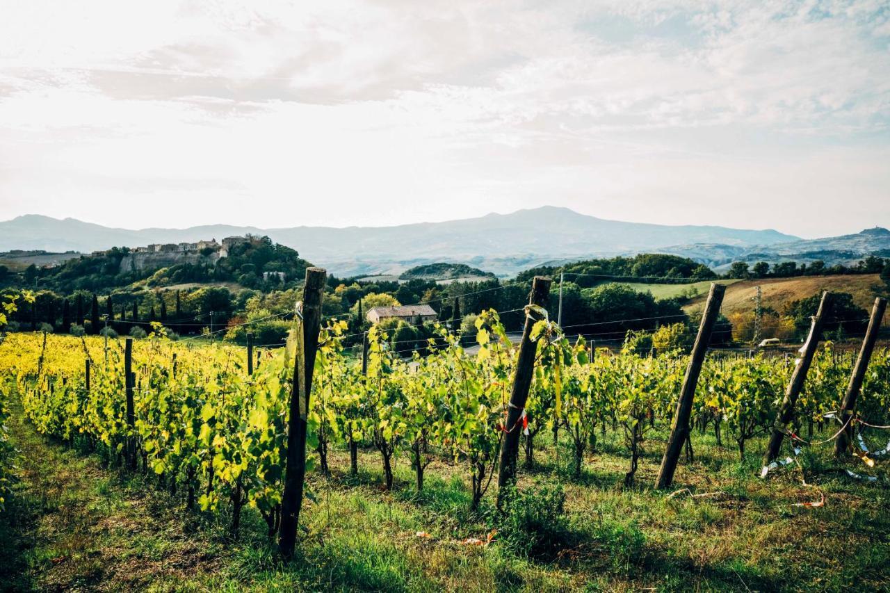 Podere Orto Wine Country House Trevinano Luaran gambar
