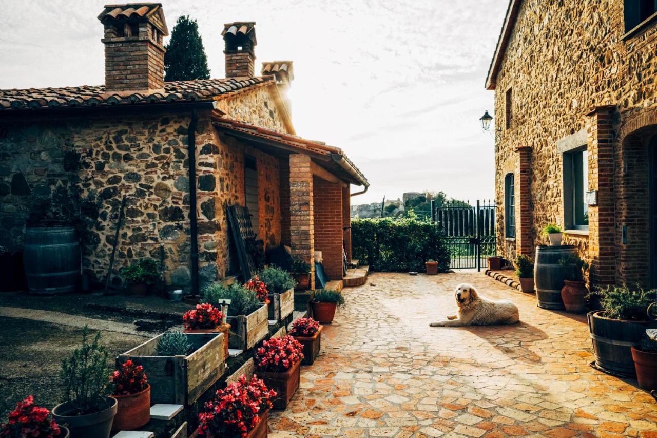 Podere Orto Wine Country House Trevinano Luaran gambar