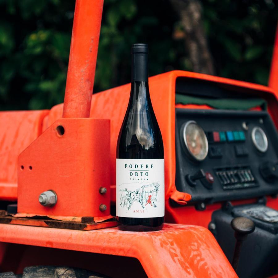 Podere Orto Wine Country House Trevinano Luaran gambar