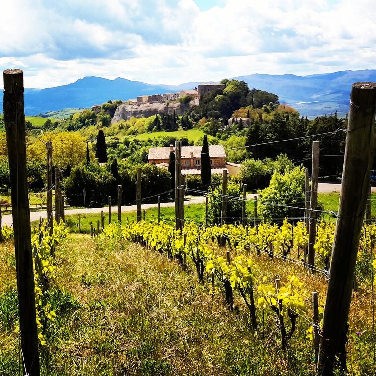 Podere Orto Wine Country House Trevinano Luaran gambar
