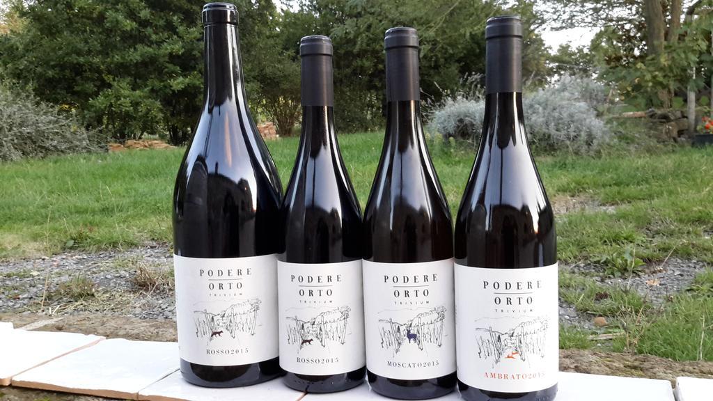 Podere Orto Wine Country House Trevinano Luaran gambar